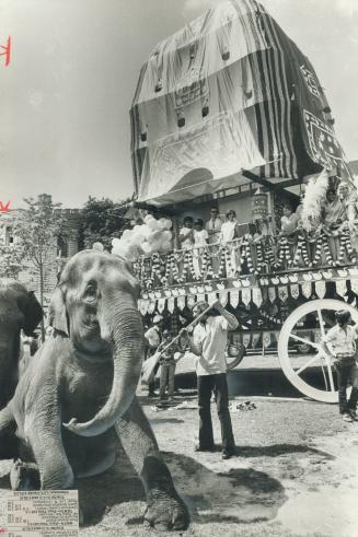 Elephants need fast cleaning-up before leading Hare Krishna festival parade