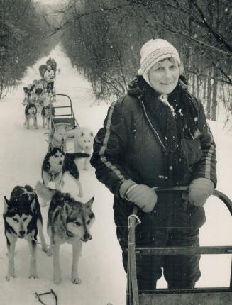 Mushing along: Eleanor Roberts, who hit the trails with huskies in Algonquin Park recently, said: The dogs are very competitive but so friendly