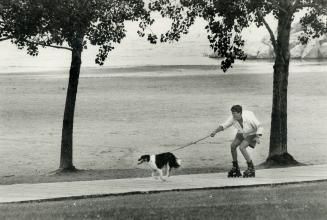 Kenzie, the Dog, and James Mackintosh