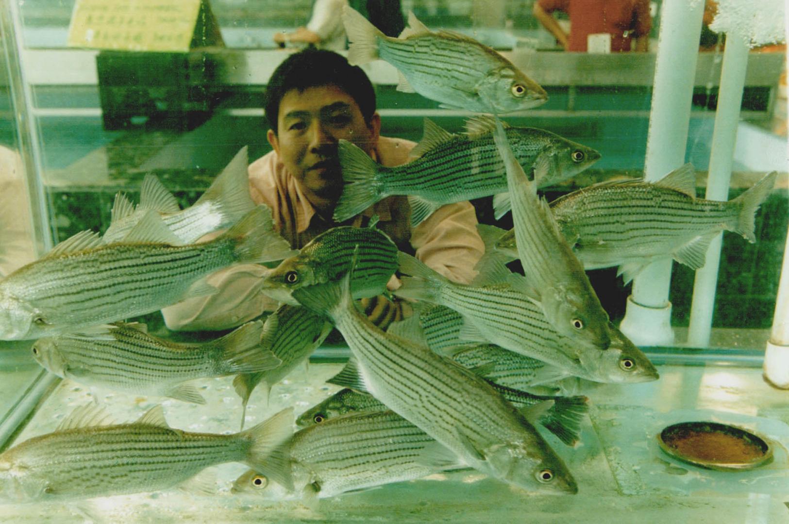 Eng Lam, co-owner of Big Land Farm, is proud of his store's vast seafood department, where the fish is truly fresh