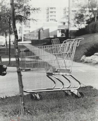 Why Yorkdale killed carts for customers
