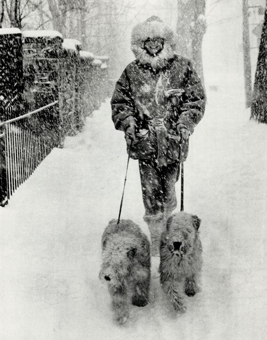 Not fit for a dog? That might have been someone's view of yesterday's weather but the snow didn't keep Margaretha Baillie from walking her Wheaton Terriers, Sandy and Hugo