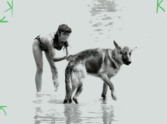 Bonnie Lariviere Splashes German shepherd Nieko Woodbine Beach