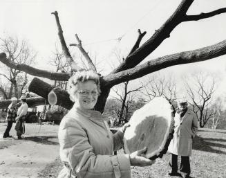 Among her souvenirs: While the aged tree was being chopped down, Gertrude Wilhell claimed a piece as a souvenir
