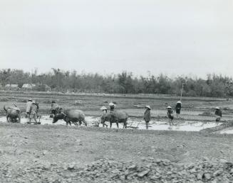 War - Vietnam War - Jeff Goode photos