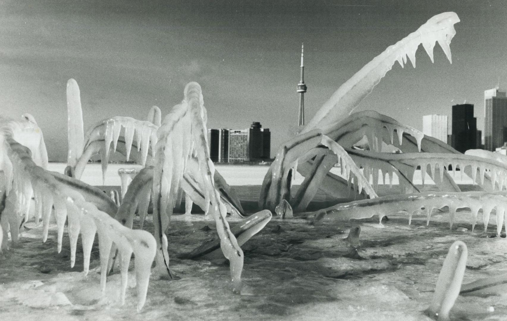 Winter - Toronto 1980 - 1989