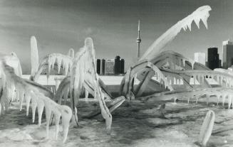 Winter - Toronto 1980 - 1989
