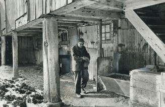 Old pole beams, rough-hewn timbers and planks create pioneer atmosphere as he tends to his chores