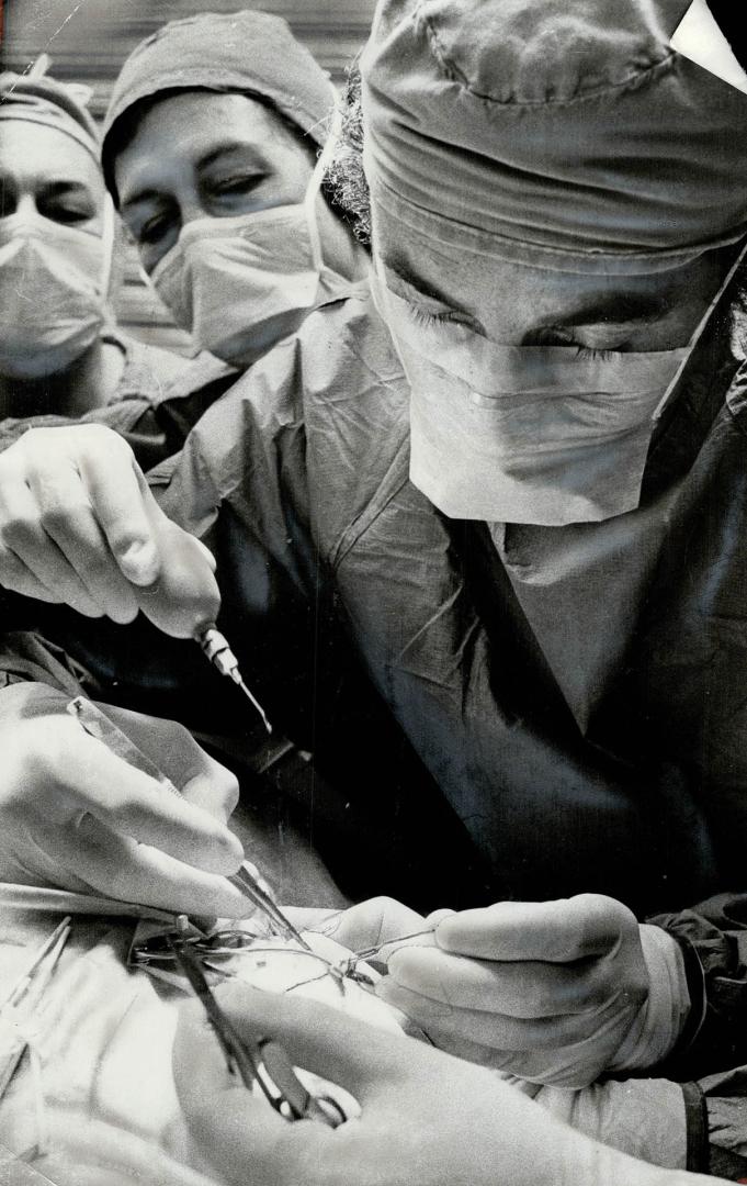 For the First Time, surgery has been used to remove a cataract from the eye of a horse, former racehorse Rullah's Image