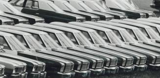 These Police Recruits Have 8 Cylinders, It looks like a mobile regiment lined up for inspection, and in a way it is