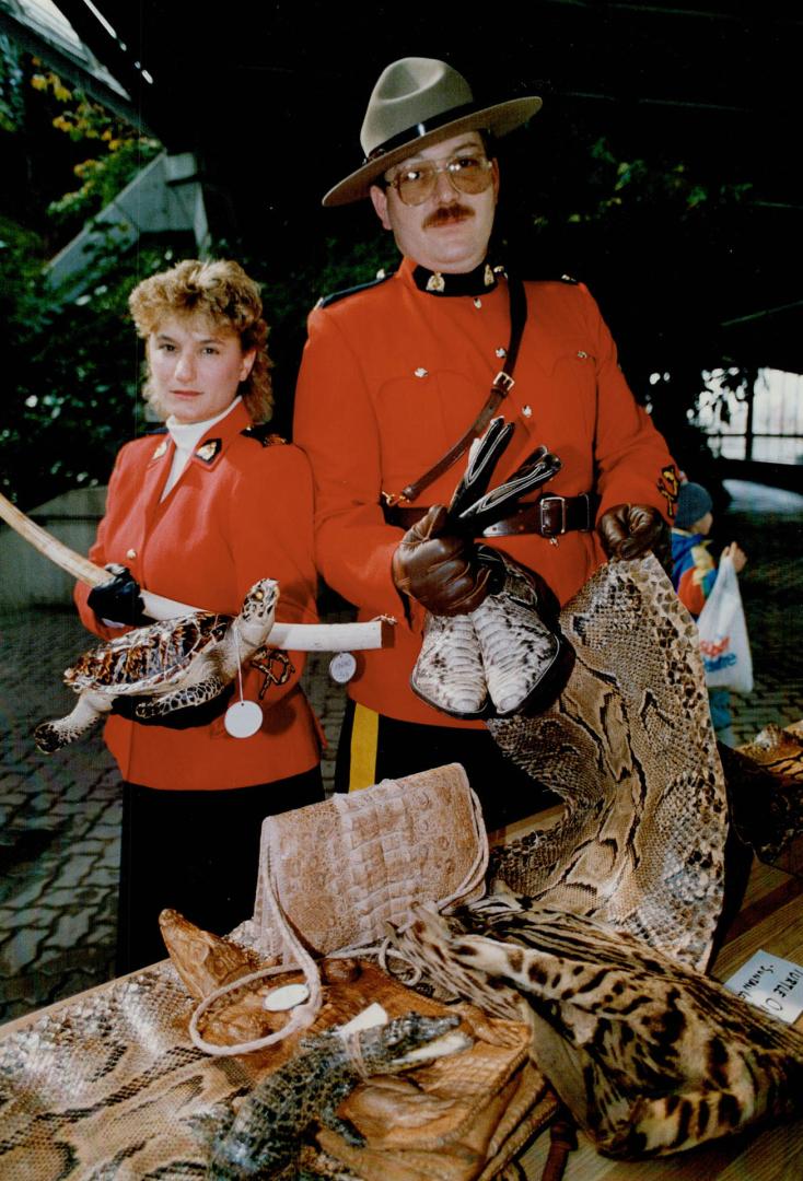 Contraband display tells sad story