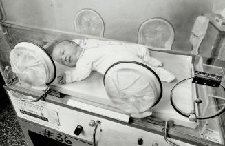 And above, posing in the incubator, a picture of health, just before leaving hospital on the way home at the age of 13 weeks