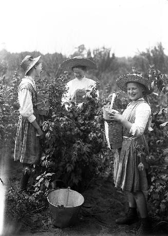 BERRY PICKERS, in Highland Creek area