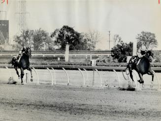 Northern Dancer - just breezing along in a runaway win for the Queen's Plate