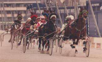 Sports - Horses - Race - Trotters - Action (1980 --)