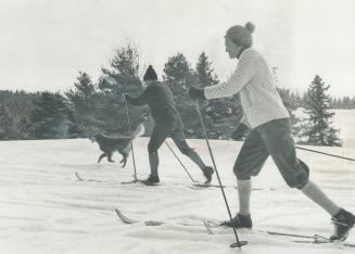 Outdoors, Cross-country skiing is one of the most vigorous sports the dieter can take up