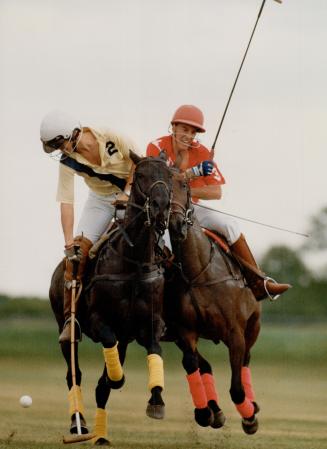 Taking A Shot: Derek Sifton, 22, right, and Todd Offen, 18, practise for the upcoming Polo for Heart Charity event, which has raised more than $1 million to date for heart and stroke research