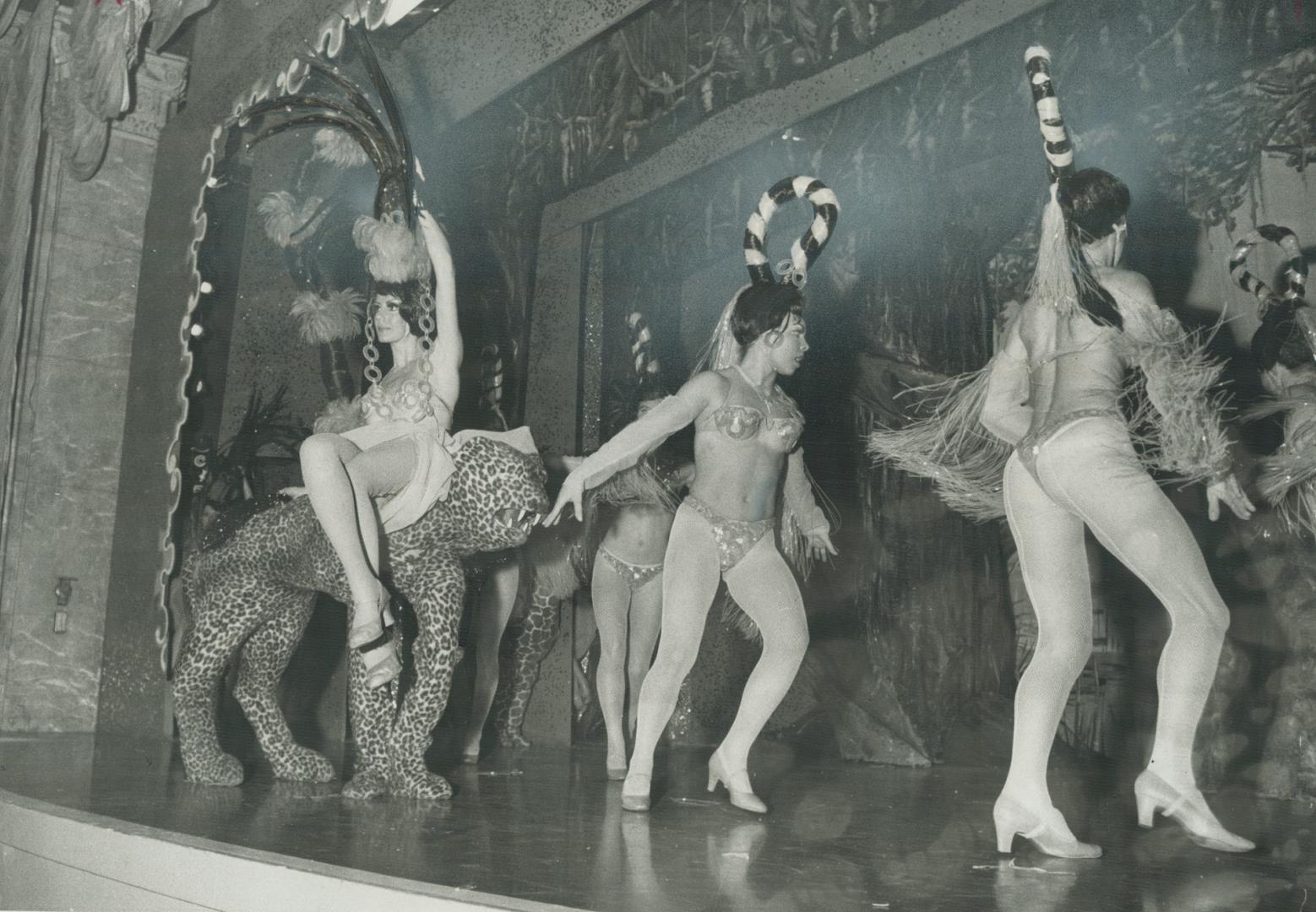The Once-staid Imperial Room of Royal York Hotel resounded to the brassy music of bump and grind as chorus girls in scanty clothes danced for patrons (...)