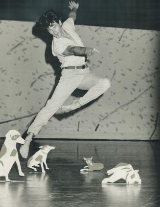 'Hot diggity, dog diggity'. Christopher Gillis cavorts with papier-mache dogs in a piece called Diggity that New York's Paul Taylor Dance Company will(...)