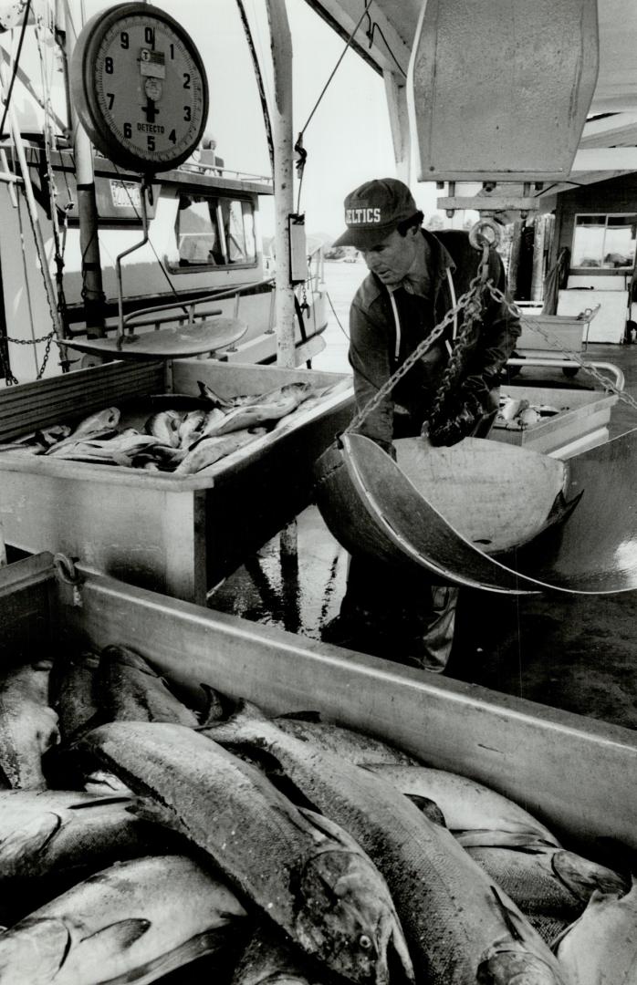 Salmon distributor Jack Greig