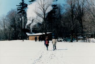 York Region Baker Sugar Bush