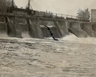 Powerful current sweeps four to death over dam
