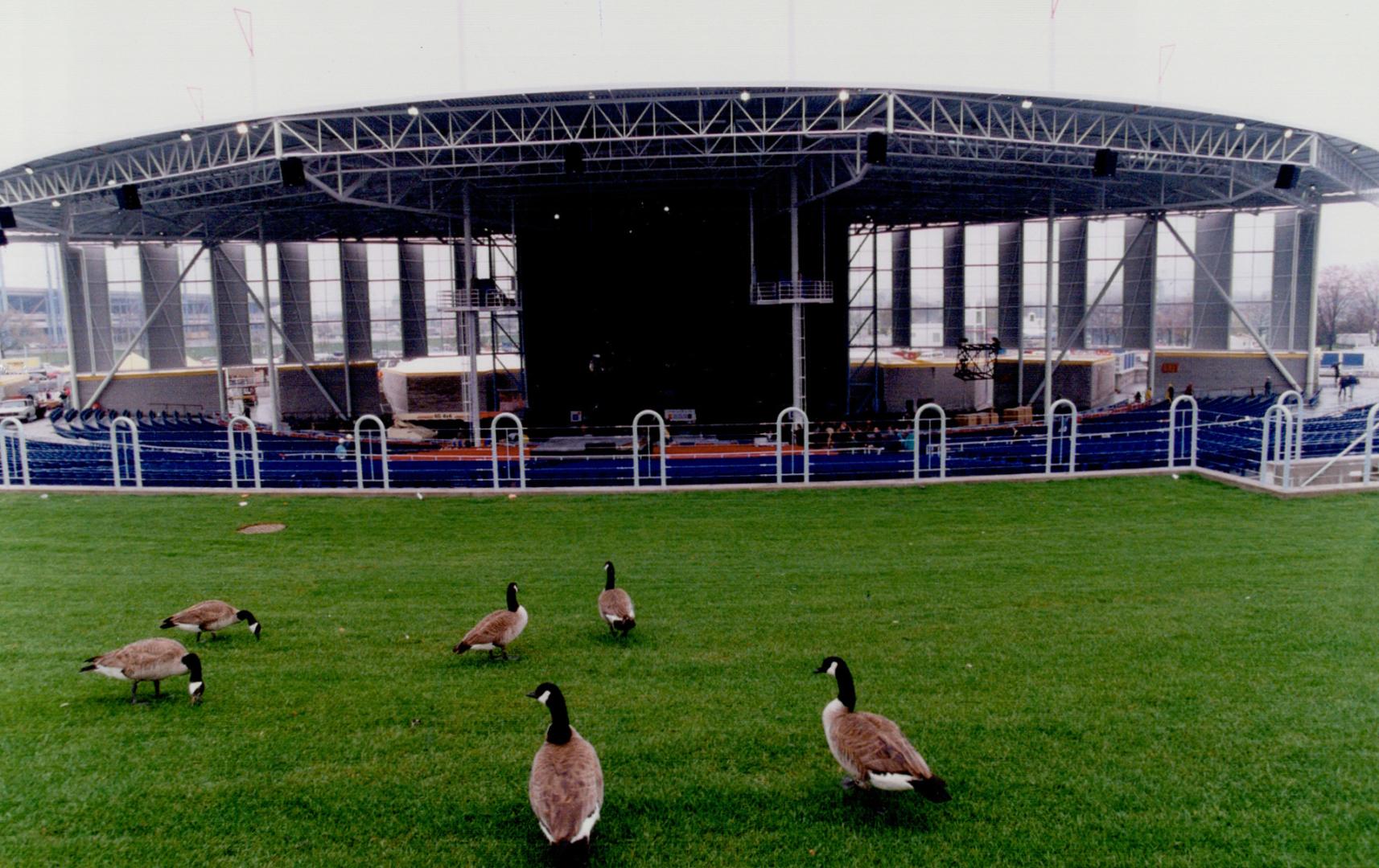 Molson amphitheatre under construction ( just before opening)