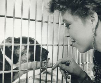 Instead of a pup-prisoner, he'd rather be dog-gone