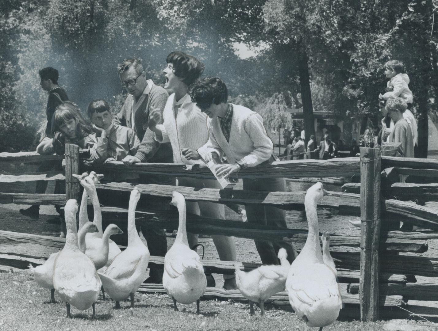 Centre Island Farm is a big deal for children raised in the city to see a typical working Ontario farm containing all the animals and their young whic(...)