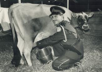 Long arms of the law. Metro police Constable John Chutko tries his hand at milking a Jersey cow at the Royal Agricultural Winter Fair. Mamie, the 3-ye(...)