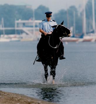 But will it drink? Constable Mario Gelli leads hi shorse, Lance, to water at Sunnyside Beach yesterday to beat the heat