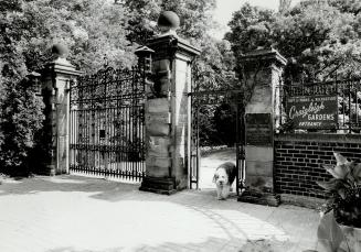 Entrance memorial: Gates on South Dr. lead into a park on land given to the city by the Osler family