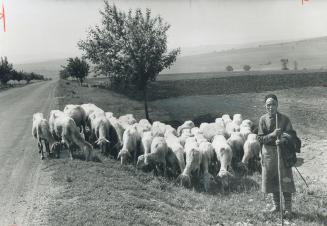 Bulgaria: A roadside stop produced this picture of a shepherd and his flock that cost just one cigarette