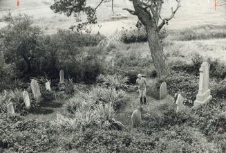 The family cemetery, located in a beautiful spot near a stream where duck-billed platypuses play, has its own history lesson to tell, recording early (...)