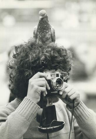 Watch the Birdie, This photographer takes aim at pigeons gathering among the tourists in London's Trafalgar Square, seemingly unaware of the playful show-stealer perched on her head
