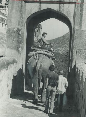 Bryant rides elephant to amber palace