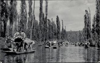 The flower-decorated barges that crowd canals in Mexico's Venice, the city of Xochimilco, take part in a fete that rivals Pasadena's festival of roses(...)