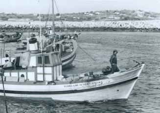 Portuguese Fishermen still ply their ancient trade off the Algarve, the country's southern coast, come revolution or political arguments. And tourists(...)