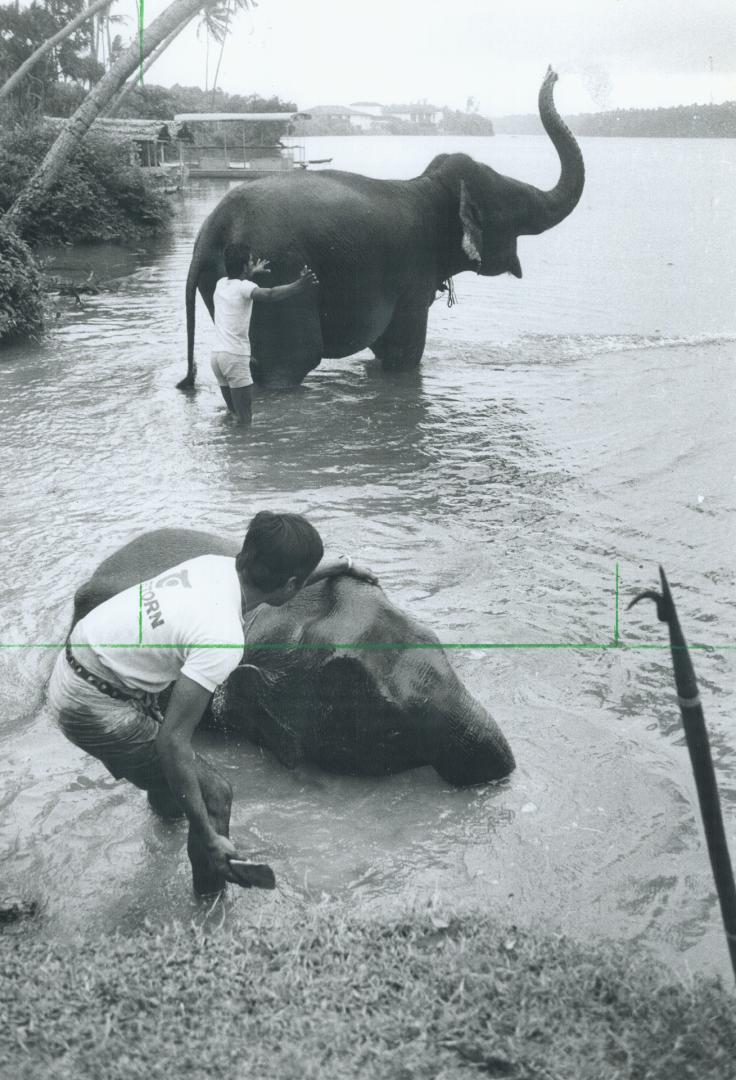 Sri Lanka - (1990-)