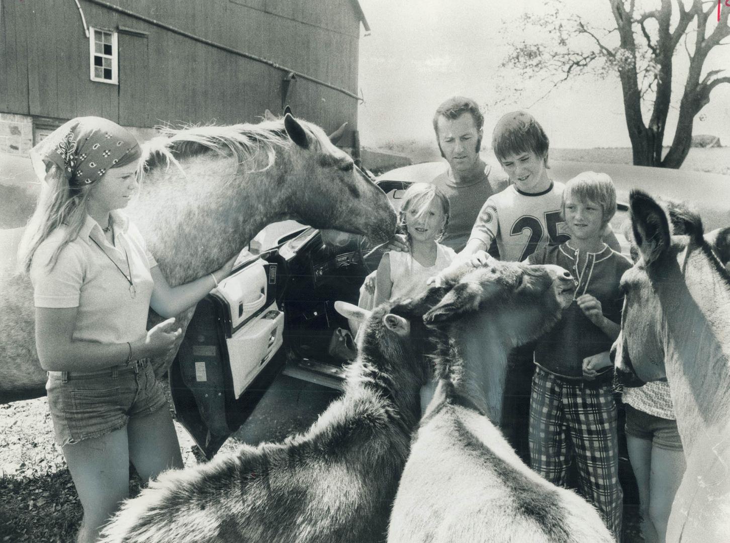 A collection of animals greet millionaire Paul Durish and his family and friends as they arrive at the Erin farm Durish has transformed into a wild li(...)