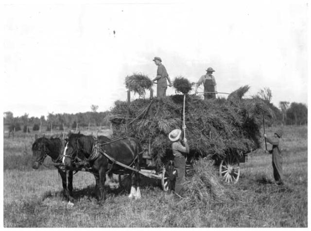 Farm workers with pitchforks loading hay onto a horse-drawn wagon.