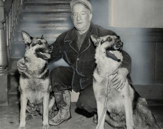 Two Champion dogs of Sidney Wintour, above, were used to help track killer