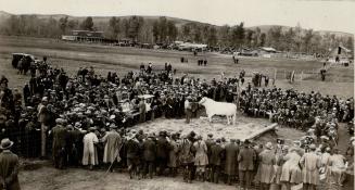 P W Ranch Sale of Stock