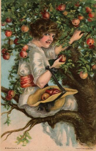 Gibson Girl picking apples