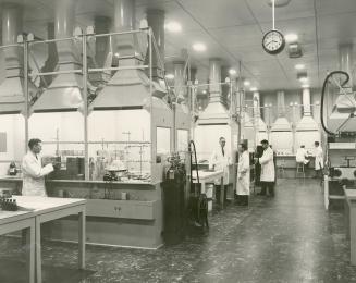 Photo 248: The main isotope production laboratory