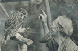 Birdman Roy Ivor tames a great horned owl, Famed naturalist Roy Ivor, who will soon celebrate his 92nd birthday and who for years has operated bird sa(...)