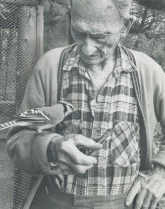 Roy Ivor and friend, The naturalist who began caring for birds when he was 10, is shown in a picture taken in December, 1970