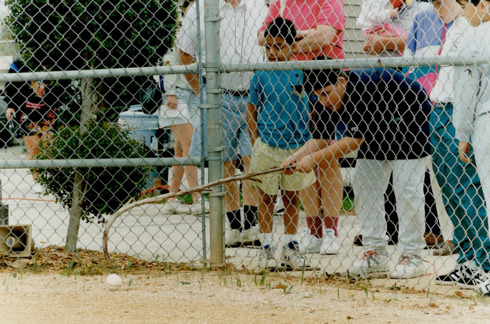 Baseball fans