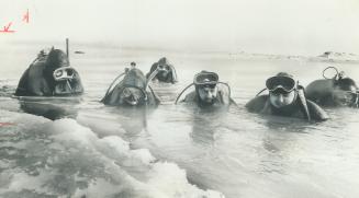 A great cure for a new year's hangover is to jump into ice-cold Lake Ontario, if you're dressed for a subzero plunge, say these members of Olympic Div(...)