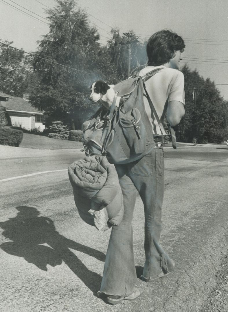 Piggyback Pooch: Nearing end of a 200-mile hitch hiking trip from camp near Trenton, where he was picked up by Chris Huller, 16, Snoopy rides piggyback to master's Burlington home